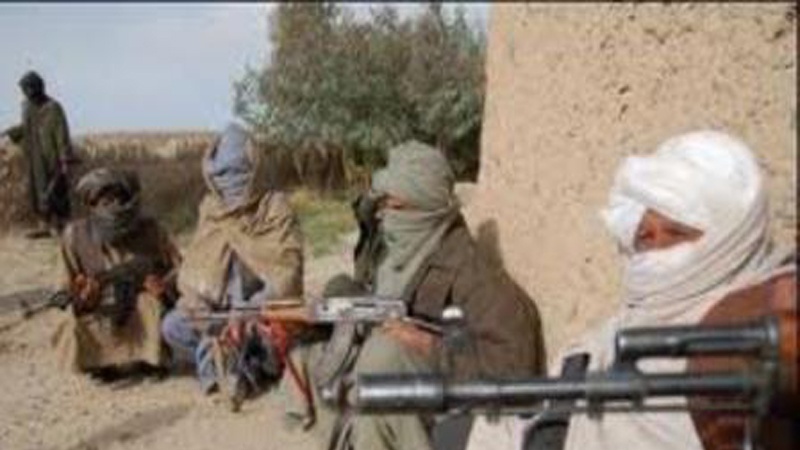 Iranpress: طالبان تطلق سراح 53 عنصرا من القوات الأمنية