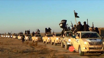 نقل 800 إرهابي من داعش إلى أوكرانيا لمحاربة روسيا