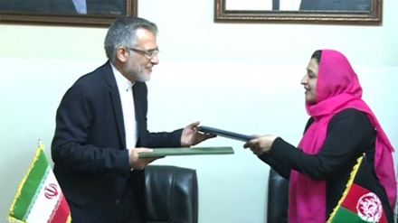 Iran Afghanistan to boost cultural cooperation 