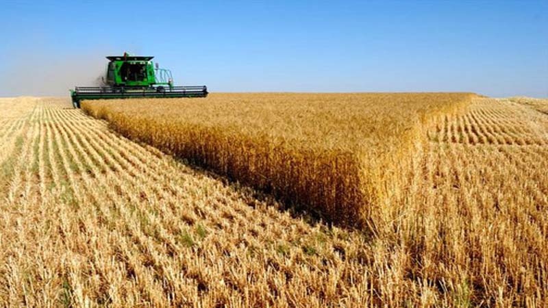Iranpress: نصف مليار.. عدد زبائن المنتجات الزراعية الإيرانية في المنطقة 