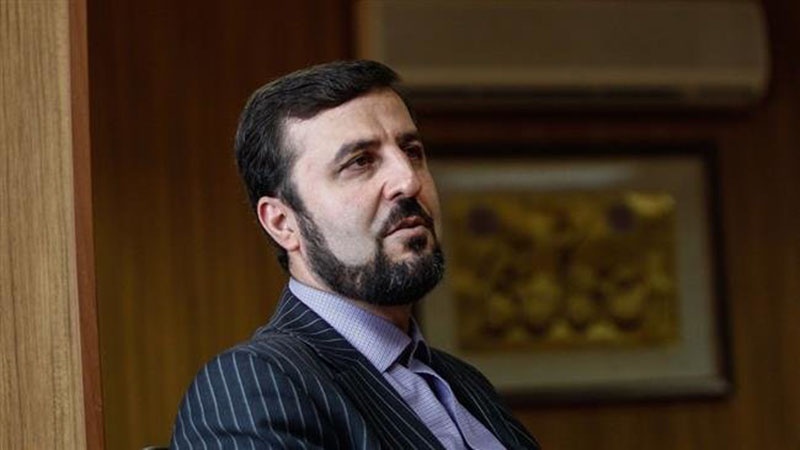 Iranpress: Iran’s envoy: Europe a safe haven for terrorist groups