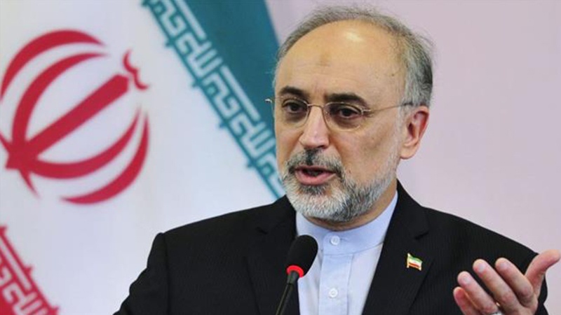 Head of the Atomic Energy Organization of Iran (AEOI) Ali-Akbar Salehi