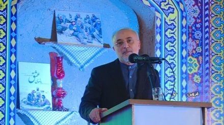 Salehi says Iran's missile achievements have stunned the world