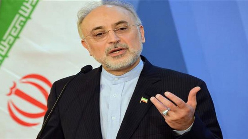 Iranpress: AEOI chief to review latest records of Iran’s peaceful nuclear profile
