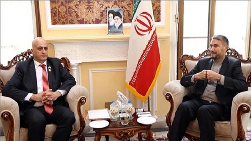 Hossein Amir-Abdollahian met Chairman of Iran-Syria Parliamentary Friendship Group Mohammad Hossein Ragheb al-Hossein on Thursday.