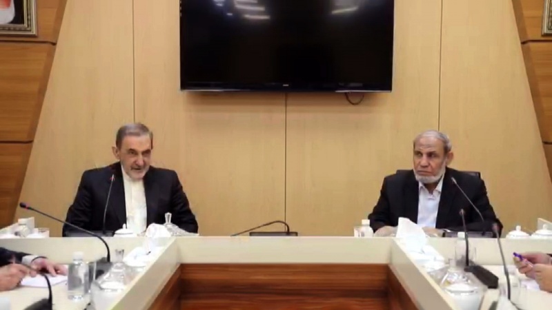 Iranpress: Velayati: resistance is the only way to counter Zionists