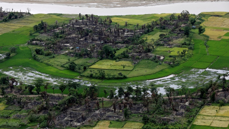 Aerial view of a burned Rohingya village near Maungdaw, north of Rakhine State, Myanmar, REUTERS