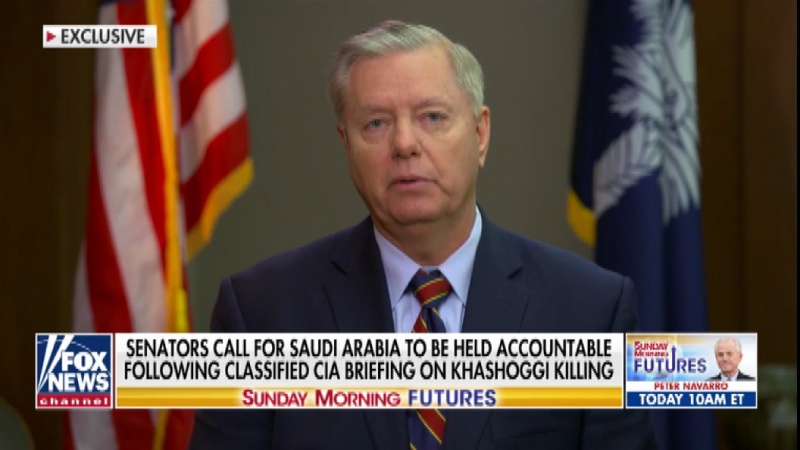 Iranpress: US senator downgrades Saudi military