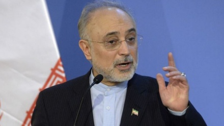 Iran capable of IR-8 centrifuge mass production: nuclear chief