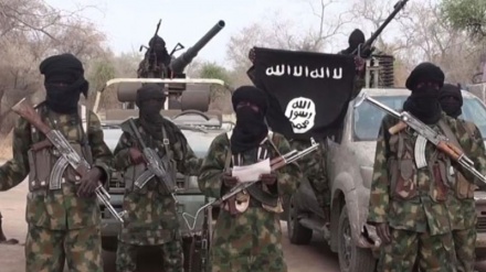 Boko Haram kills 15 on northeast Nigeria