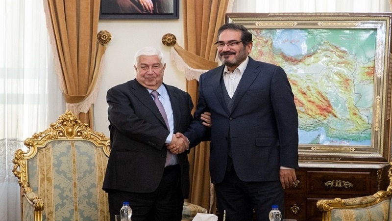 Iranpress: Shamkhani: Iran-Syria cooperation will continue