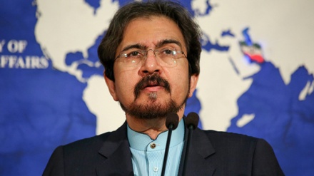 Iran's FM spokesman condemns regional states’ silence toward Zionists