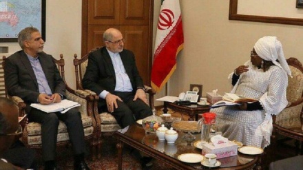 African Union calls for more Iran cooperation in nanotechnology