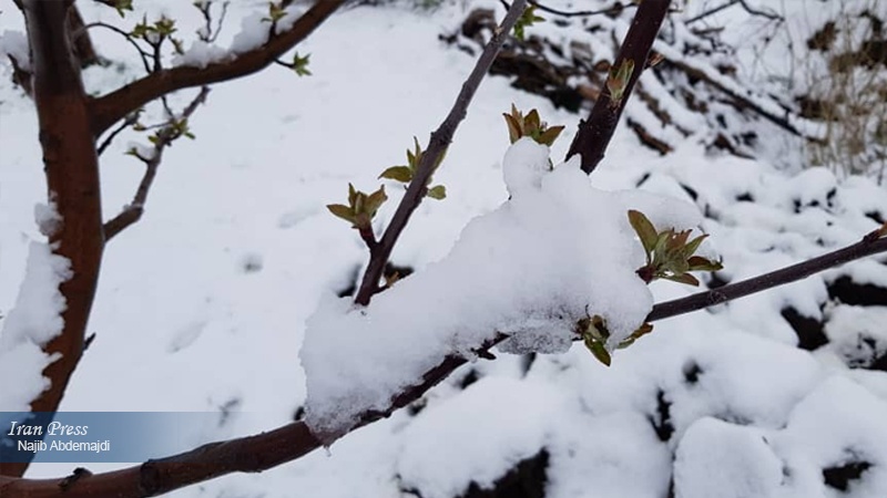 Iranpress: Photo: Surprising snowfall in NW Iran in second month of Spring