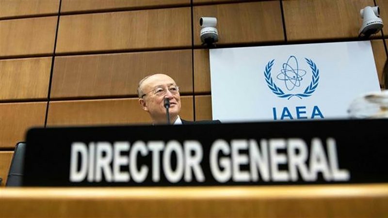 Iranpress: IAEA asks Saudis for safeguards on first nuclear reactor