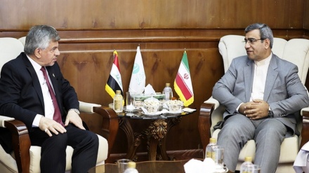Iraq explores investment in Iran's Kish: Ambassador