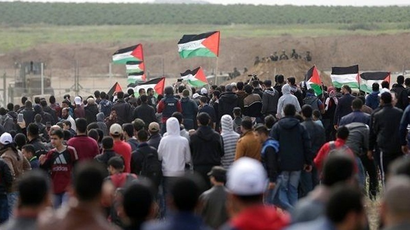 Iranpress: 5 Palestinians injured in clashes with Israeli soldiers in Gaza 