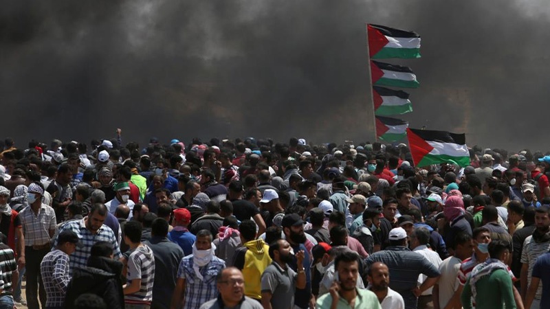 Iranpress: إصابات في جمعة "الجولان عربية سورية" في غزة
