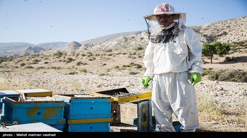 Iranpress: ايران ثالثة عالميا في انتاج العسل 