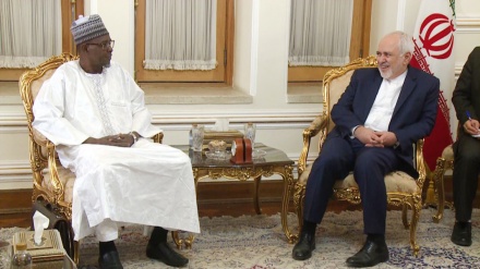 Iranian Foreign Minister calls for expansion of ties with Niger