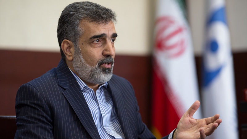 Iranpress: منظمة الطاقة الذرية الإيرانية: اجراءات ايران تستند إلى خطة العمل المشترك الشاملة