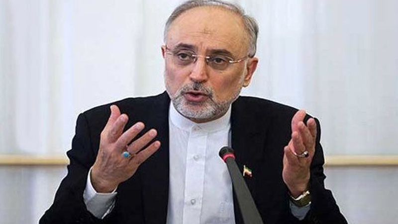 Salehi: Iran to start building Bushehr 2 nuclear power plant concrete foundation