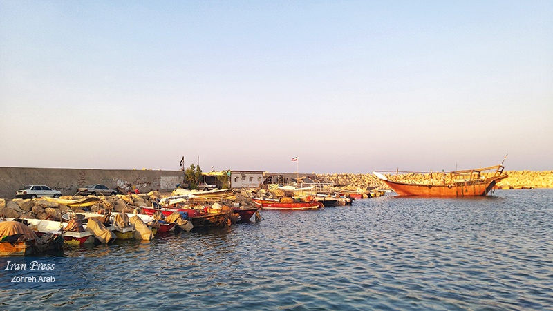 Iranpress: شواطئ بوشهر الجميلة.. دورها في نمو الاقتصاد البحري