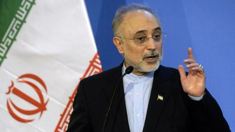 Iranpress: ايران مستعدة لتطوير أنشطتها النووية في أقصر زمن ممكن