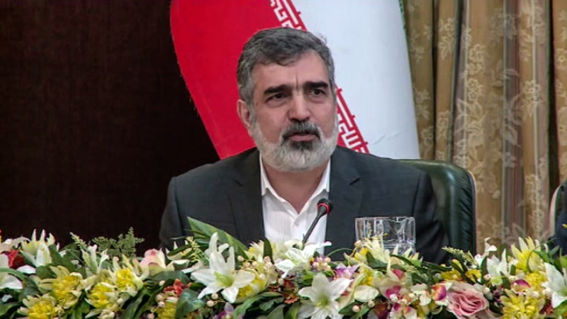 Iranpress: كمالوندي : ايران تبدأ رفع مستوى تخصيب اليورانيوم لاكثر من 3.67%