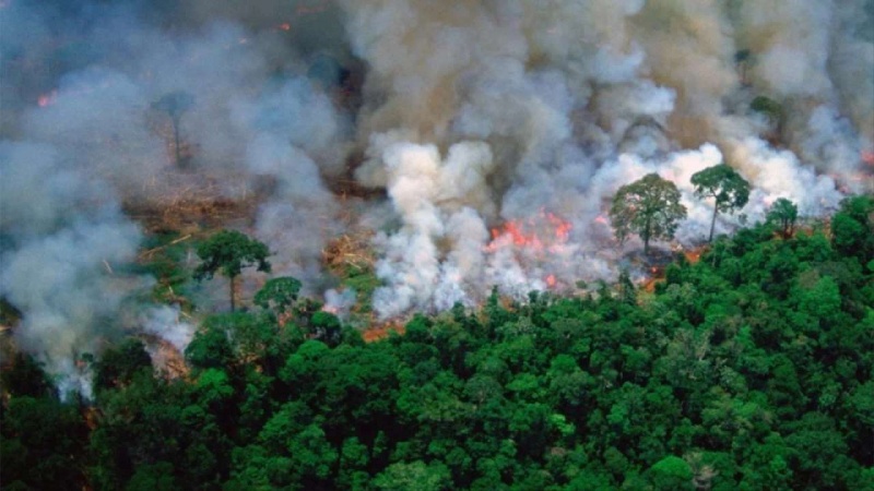 Iranpress: Amazon fires: Brazil rejects G7 $20 million aid package