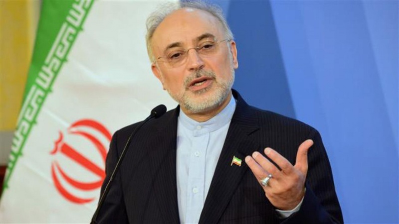 Head of Iran\\\\\\\'s Atomic Energy Organization Ali Akbar Salehi
