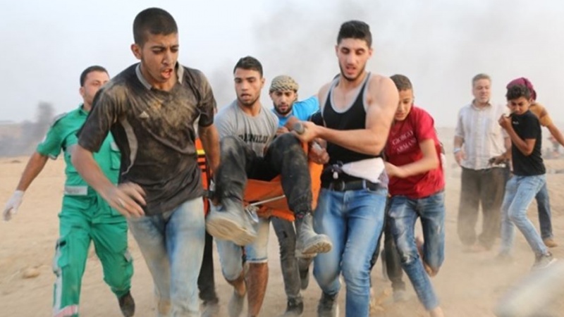 Iranpress: Israel seeks purposeful killing of Palestinians: Official