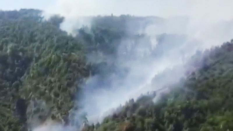 Iranpress: Fire Fighters Battle Wildfires in Hyrcanian Forests of Republic of Azerbaijan 