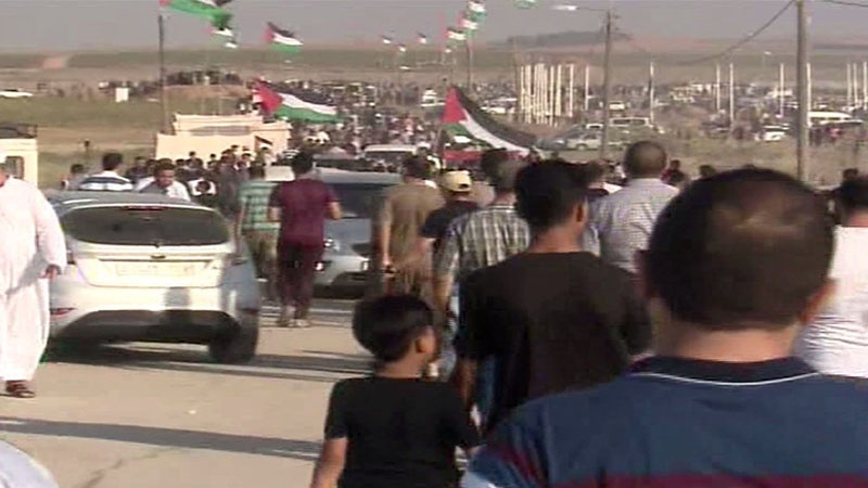 Iranpress: Dozens injured in the 72nd week of Gaza 