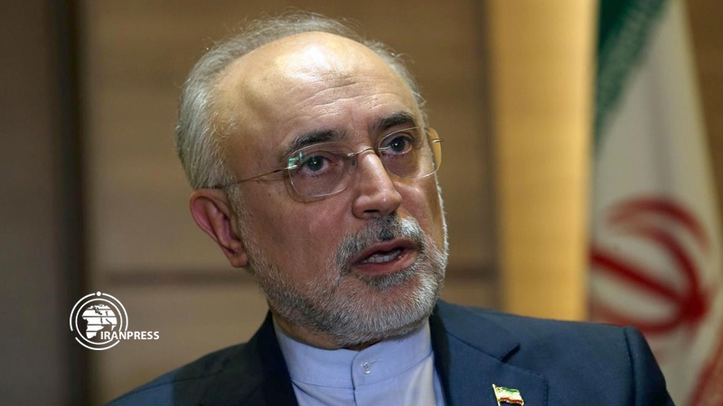 Iranpress: صالحي ينصح الوكالة الدولية للطاقة الذرية بألا تكون أداةً لأجهزة تجسس 