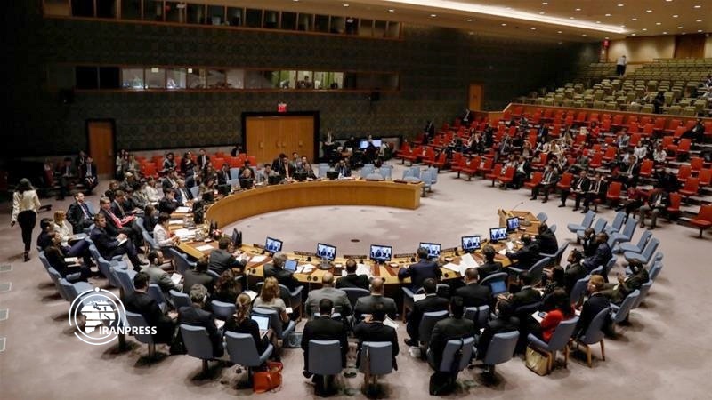 Iranpress: Russia, China veto UN resolution regarding Idlib, Syria