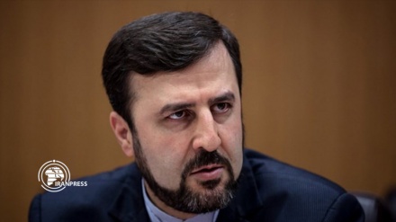 Iran concerned over UNODC lack of ethnic diversity
