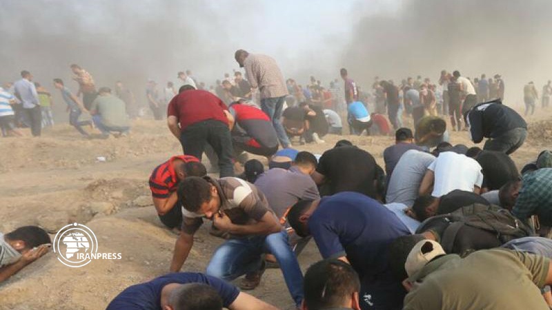 Iranpress: Dozens wounded in 75th week of Gazan Great March of Return