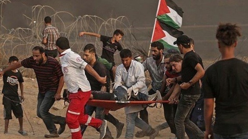  5 شهید و 130 زخمی، آمار جنایات یک ماهه صهیونیست ها در فلسطین