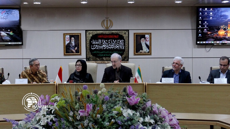 Iranpress: Iran, Indonesia stress mutual cooperation in health sector