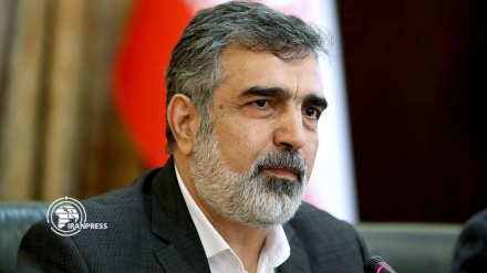 AEOI spox: Iran, Russia talk on stable Isotopes underway