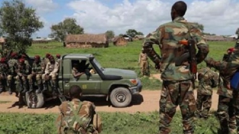 Six Al-Shabab members killed in Somalia