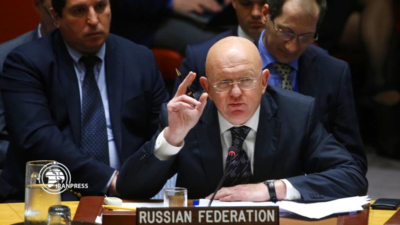 Iranpress: Russia stresses on maintaining Syria