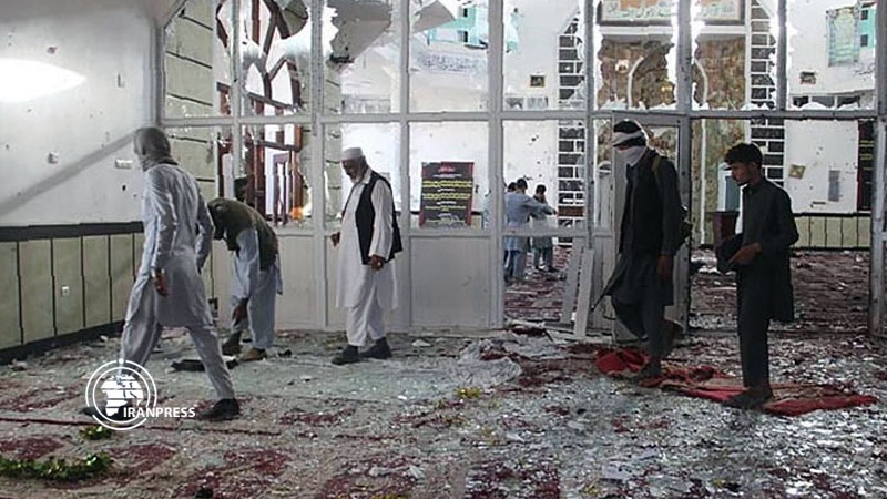 Iranpress: جمعية الدفاع عن ضحايا الإرهاب: الأديان هي الأهداف الرئيسية للإرهابيين