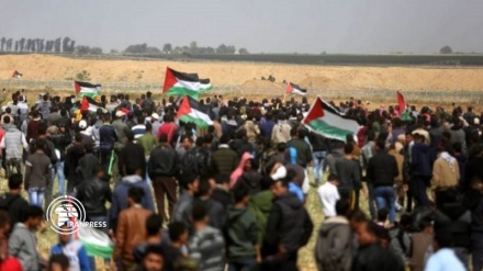 Palestinian shot dead, at least a dozen injured, in 77th week of Gaza's Great March of Return