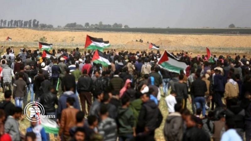 Iranpress: Palestinian shot dead, at least a dozen injured, in 77th week of Gaza
