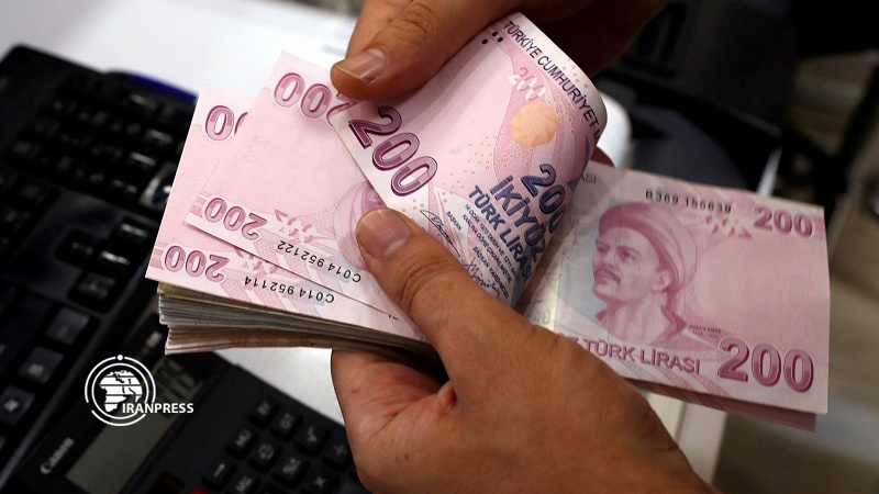 Iranpress: Turkish Lira devalues against US Dollar 