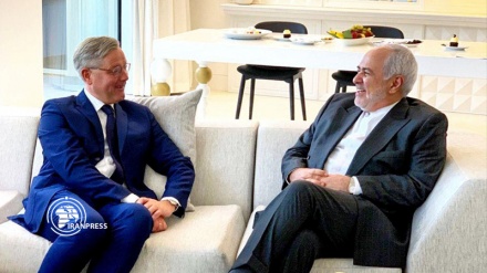 Senior German parliamentarian meets with Zarif