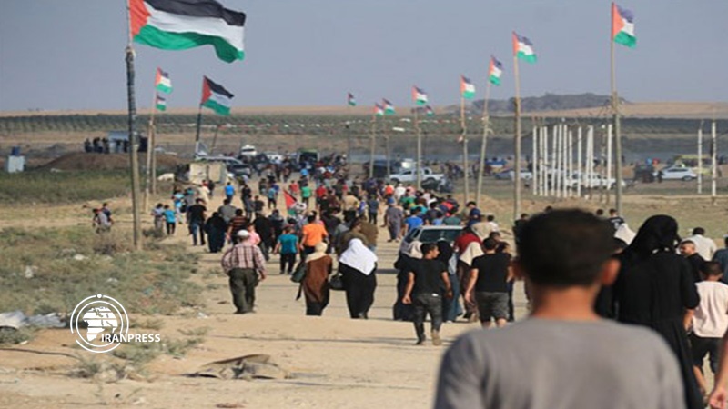 Iranpress: إصابة عشرات الفلسطينيين خلال مسيرة العودة شرق قطاع غزه