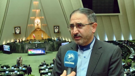 IIASA membership, great opportunity for Iran: MP 